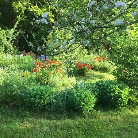 Lacampagneenchantee *