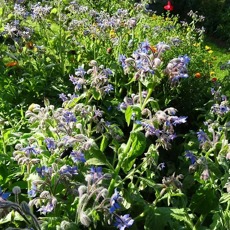 Holiday home Lacampagneenchantee