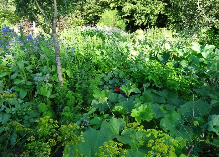 Lacampagneenchantee Holiday home La Madeleine-Bouvet