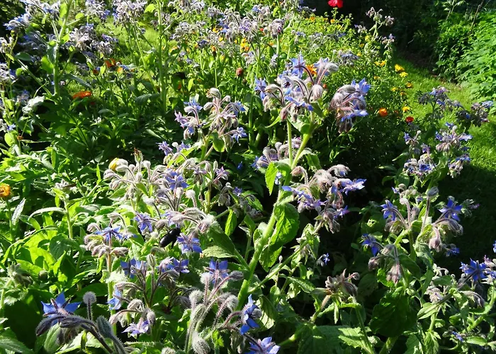 Holiday home Lacampagneenchantee